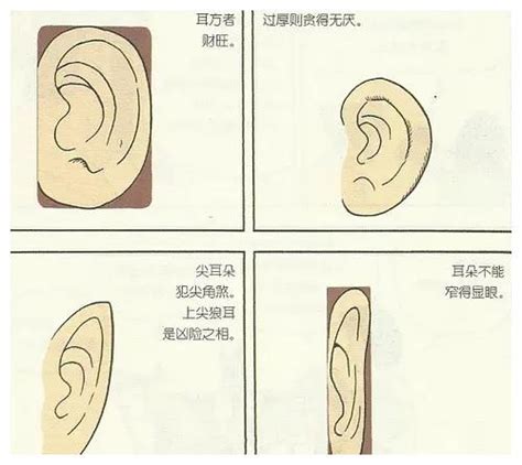 耳朵有洞面相|十六种耳朵面相图文分析三六风水网